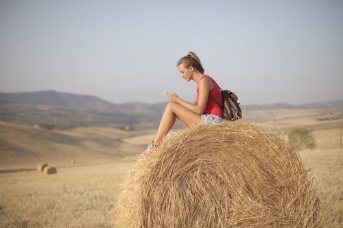 坐在棕色的干草卷上的粉红色背心的女人 · 免费素材图片