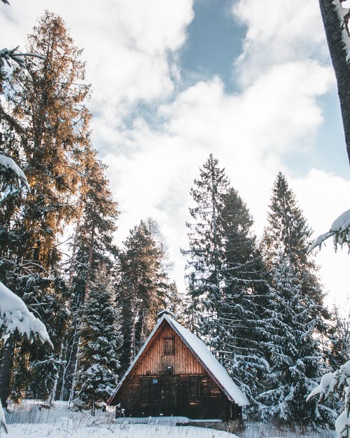 在白云下的白雪覆盖树木中间的棕色木屋 · 免费素材图片