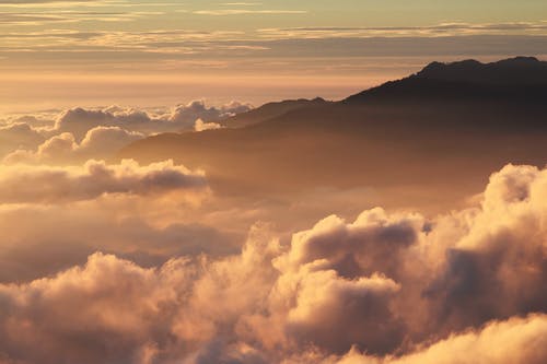 有关剪影, 天性, 天空的免费素材图片