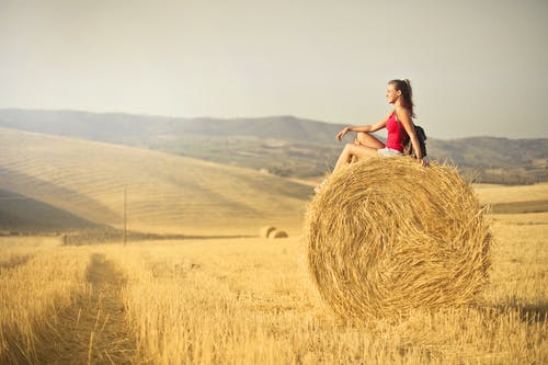 红色背心坐干草卷的女人 · 免费素材图片