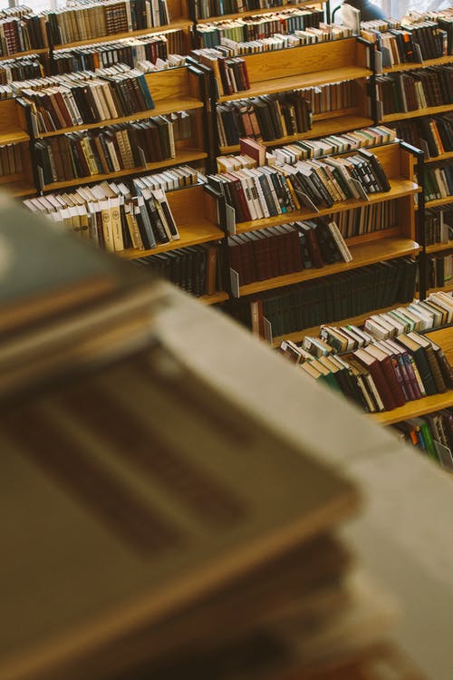 棕色木制书架与书 · 免费素材图片