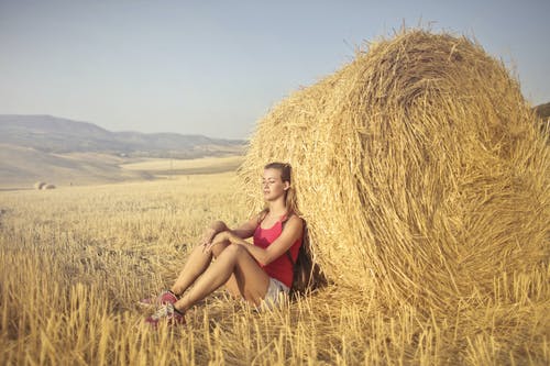 红色背心的妇女坐在倾斜在干草卷的棕色干草领域 · 免费素材图片