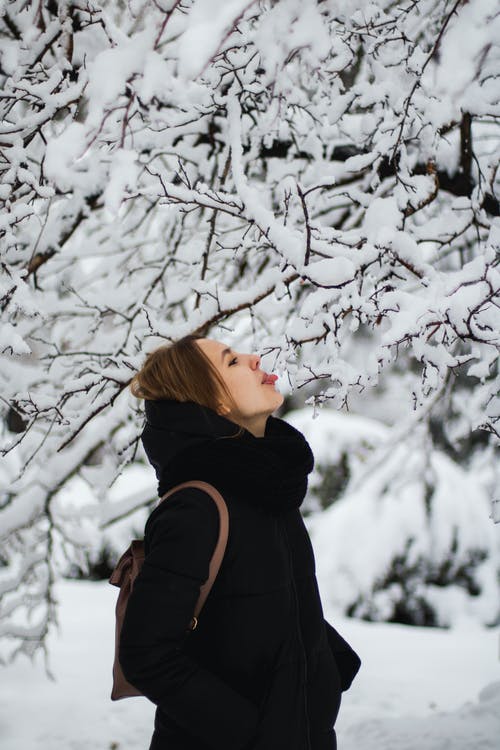 黑夹克的女人站在白雪覆盖的白树附近 · 免费素材图片