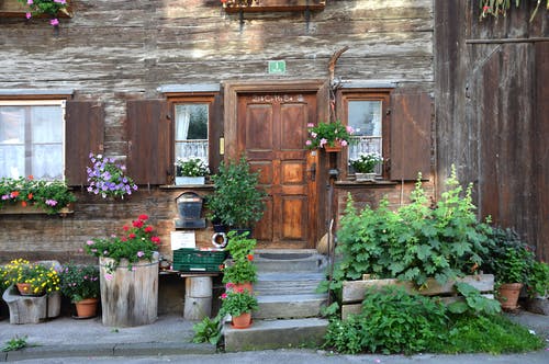 屋外的绿色植物附近的棕色木门 · 免费素材图片