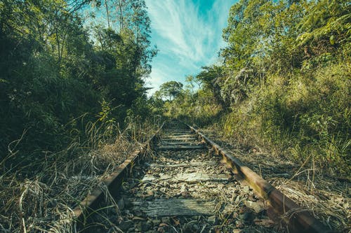 火车铁路被树木包围 · 免费素材图片