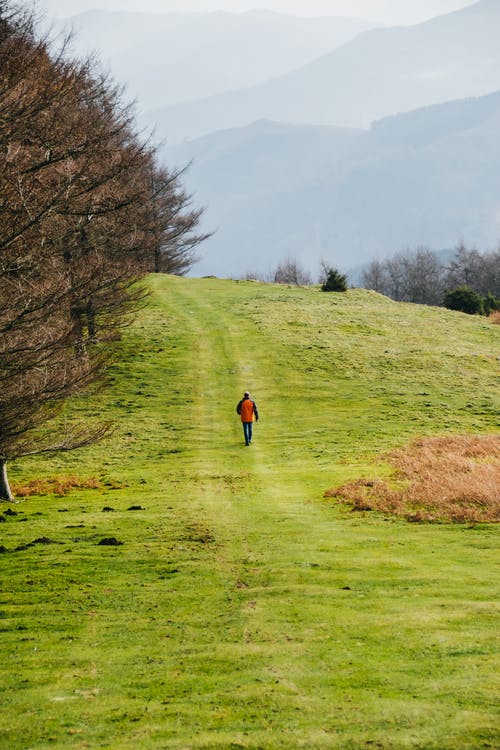 有关不露面, 人, 人行道的免费素材图片