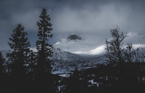 森林附近的冰川山脉 · 免费素材图片