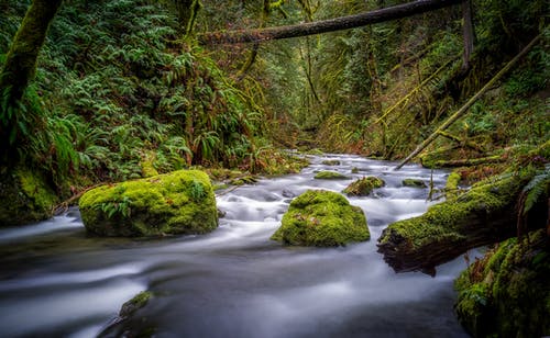 河和长满苔藓的石头 · 免费素材图片