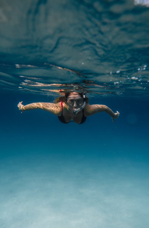 匿名的女人在阳光下潜水水下的海洋 · 免费素材图片