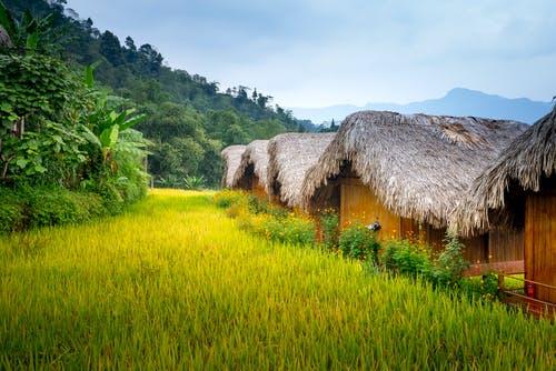 有关住宅, 假期, 国家的免费素材图片