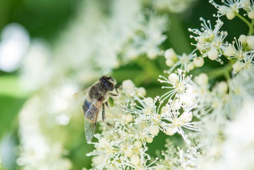有关增长, 天性, 微妙的免费素材图片