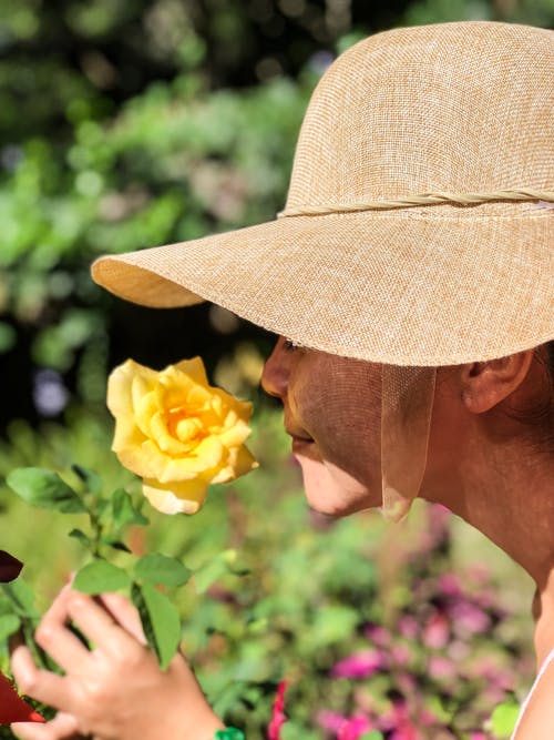女人戴着太阳帽闻到黄玫瑰 · 免费素材图片