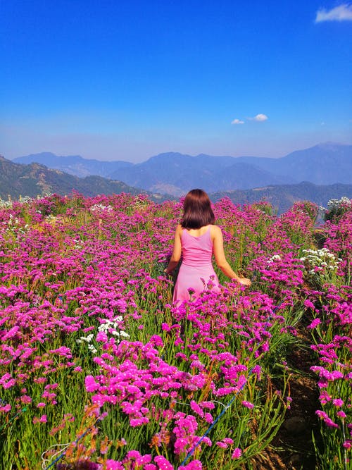 有关垂直拍摄, 天性, 女人的免费素材图片