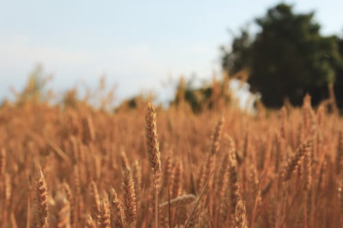 有关不变, 光, 冷静的免费素材图片