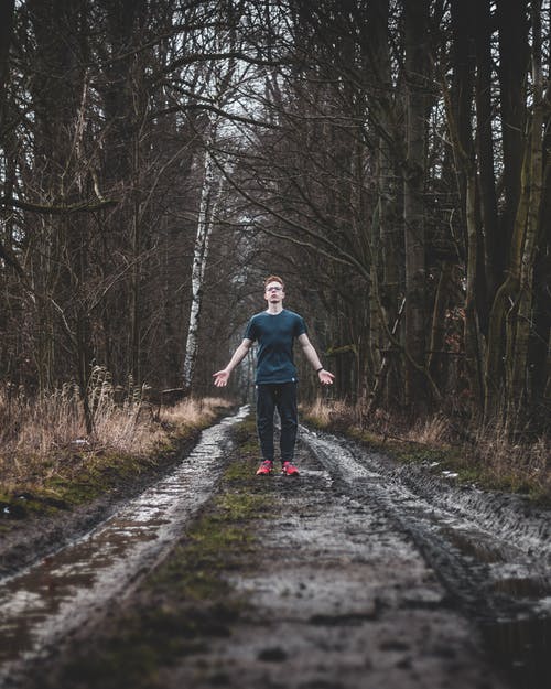 身穿黑色圆领t恤和黑色裤子站在光秃秃的树之间的通路上的男人 · 免费素材图片