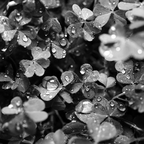 有关工厂, 户外, 新鲜的免费素材图片