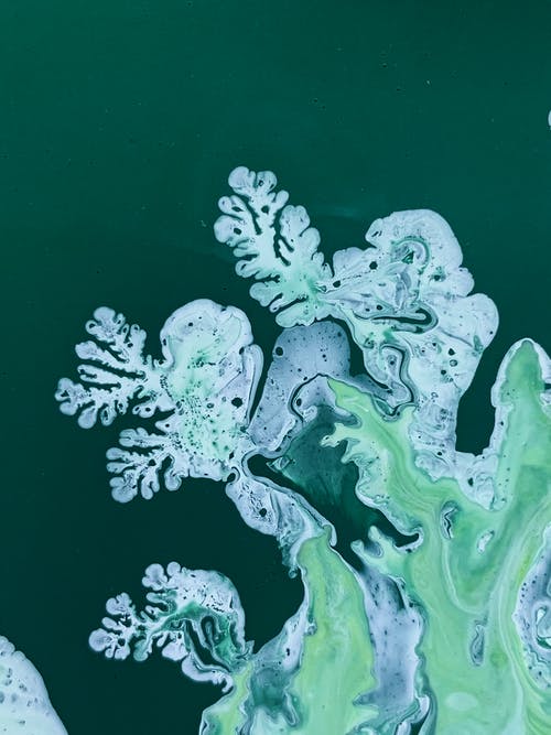 绘画的特写照片 · 免费素材图片