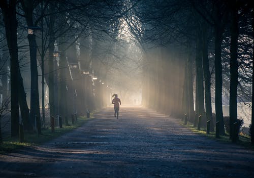 在高大的树木之间的街道附近奔跑的人 · 免费素材图片