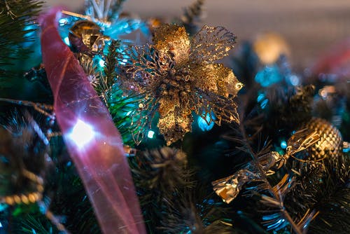 棕色圣诞树装饰特写摄影 · 免费素材图片