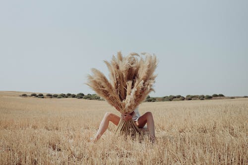 躲在干草后面的面目全非的女人 · 免费素材图片