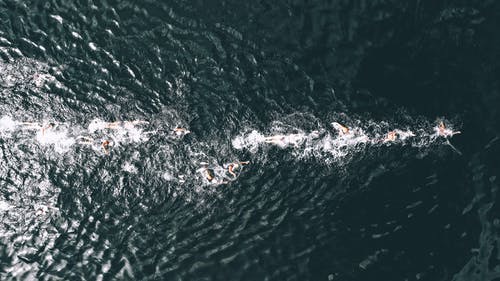 游泳者在海洋上 · 免费素材图片