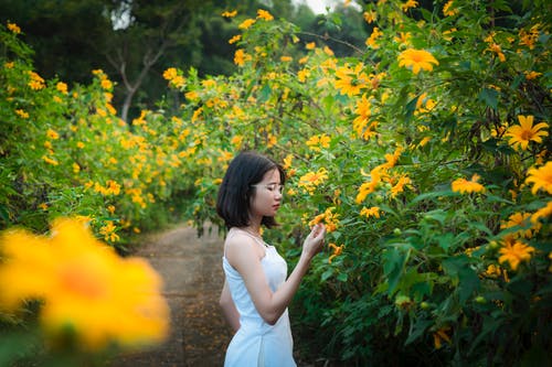 站在黄色的花朵附近的白色连衣裙的女人 · 免费素材图片