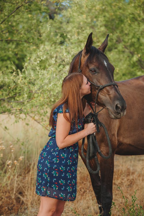 小姐亲吻可爱的马在牧场 · 免费素材图片