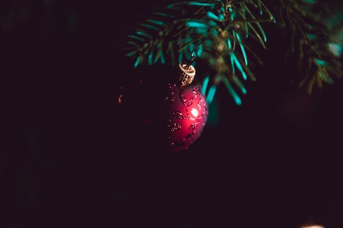 在绿色的松树上的红色和银色圣诞球 · 免费素材图片