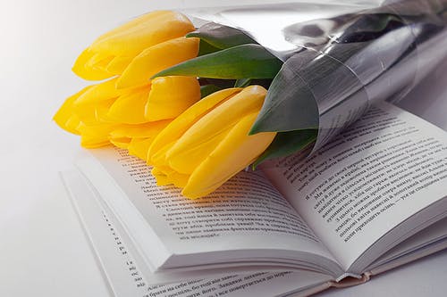 黄色的郁金香在白色印刷书上的花束 · 免费素材图片