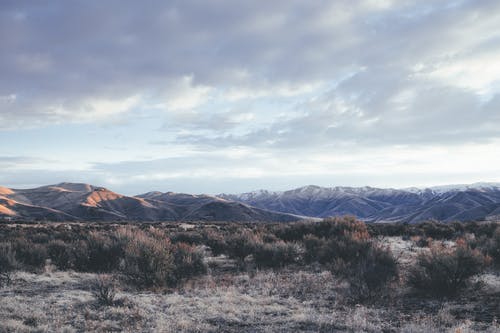 有关下落, 乾燥, 乾的的免费素材图片