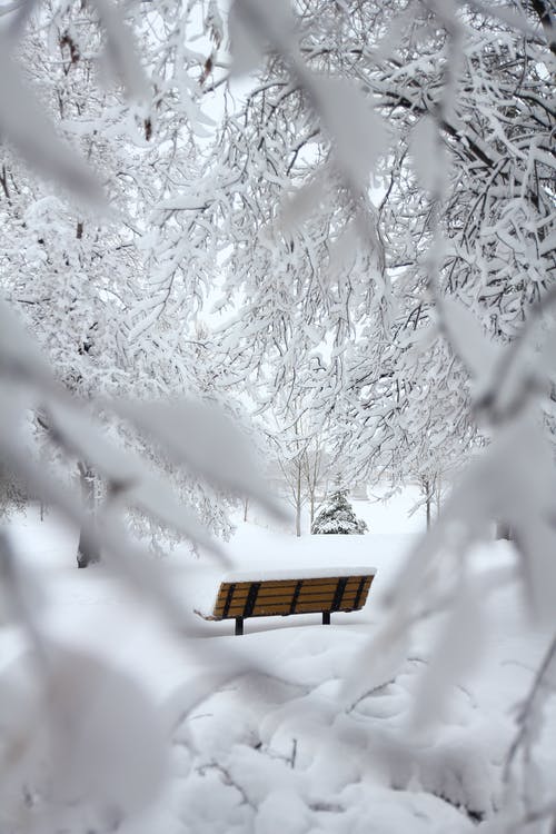 棕色户外长椅上有雪 · 免费素材图片