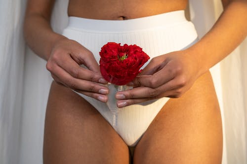 拿着月经杯的白色内衣的女人红玫瑰 · 免费素材图片