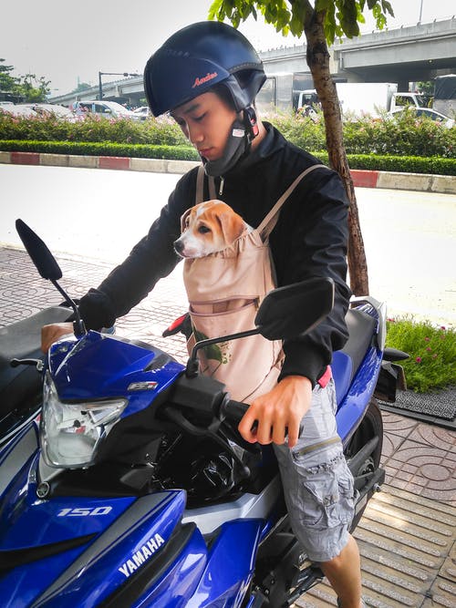 男子骑摩托车携带狗 · 免费素材图片