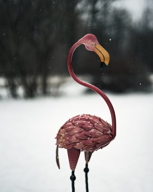 雪域粉红色的火烈鸟雕像 · 免费素材图片