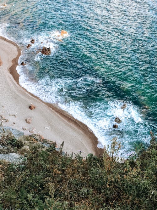 有关冷静, 华丽的, 和平的的免费素材图片