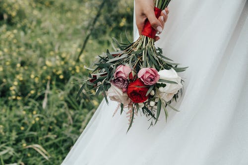 有关微妙, 握住, 植物群的免费素材图片