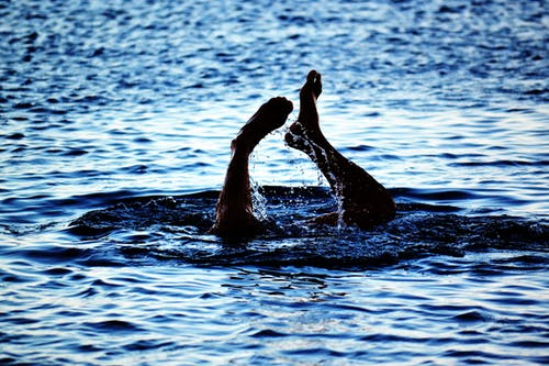 在水面上游泳的人 · 免费素材图片