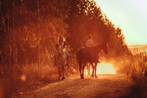 人骑乘马 · 免费素材图片