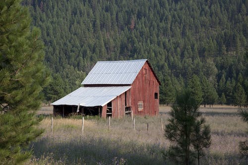 白天的红色木制谷仓 · 免费素材图片