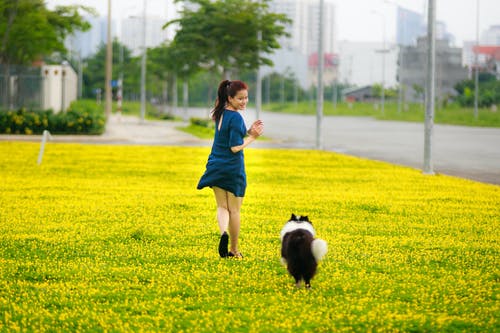 夫人和狗一起玩的照片 · 免费素材图片