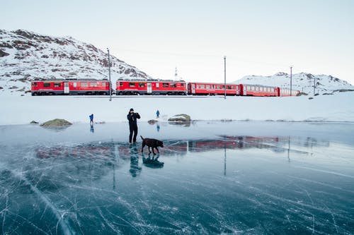 人和成年拉布拉多犬走在冰冻的水面上 · 免费素材图片