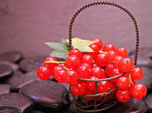 红樱桃 · 免费素材图片