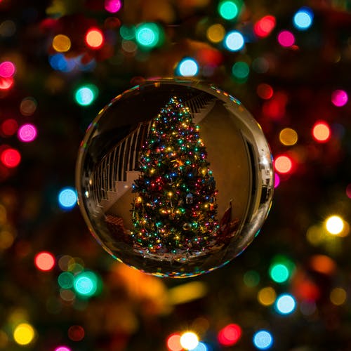 玻璃摆设反射圣诞树 · 免费素材图片