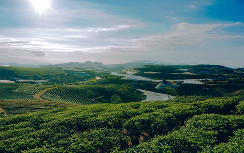 绿草地照片 · 免费素材图片