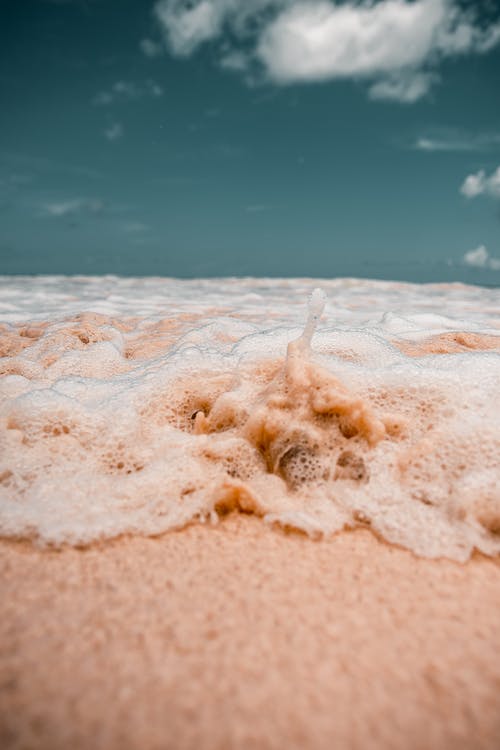 海滩上的粉红沙 · 免费素材图片