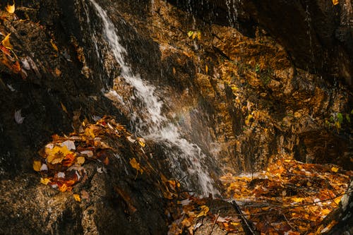 秋天的落叶，山上的瀑布 · 免费素材图片