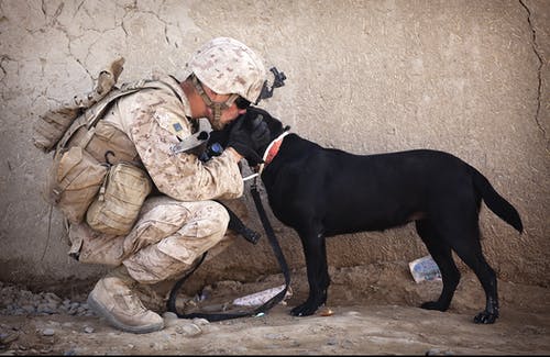 士兵和黑狗拥抱 · 免费素材图片
