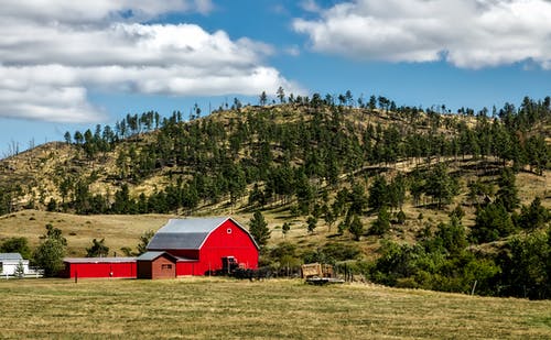农场土地上的红色木棚 · 免费素材图片