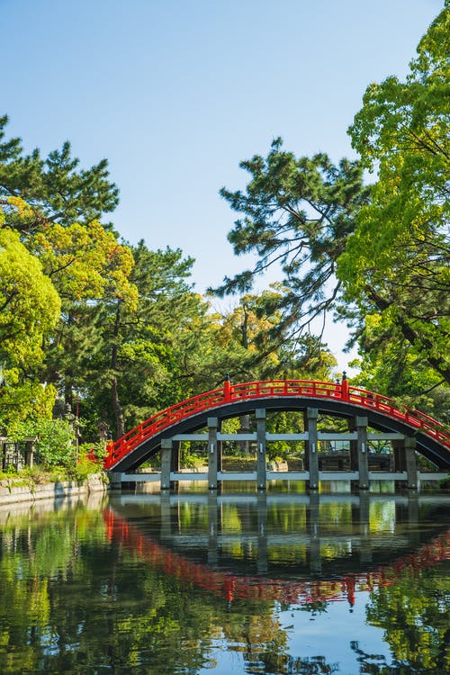 夏天花园里的平静河上着名的行人天桥 · 免费素材图片