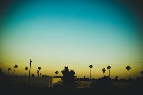 树木在户外的轮廓 · 免费素材图片